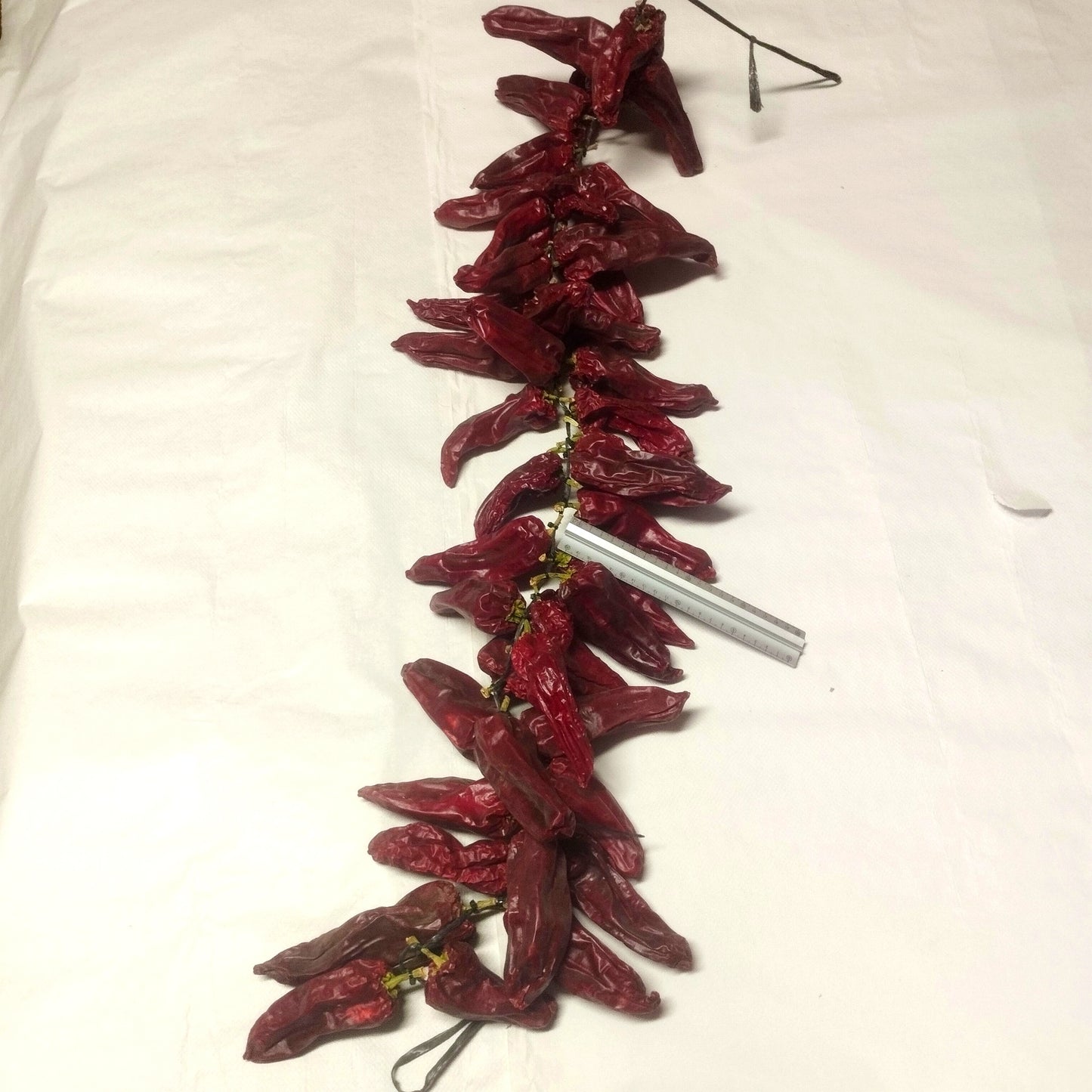 Ristra Delicatessen de Pimiento Choricero – Selección Premium (30-33 Piezas Normales)